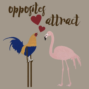 "Opposites Attract"-  WINTER SEASON