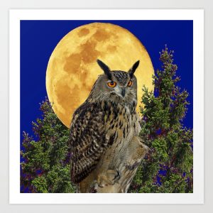 Night Owl-  Seasonal Series Roast  FALL