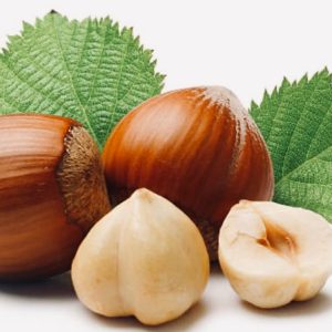 Hazelnut