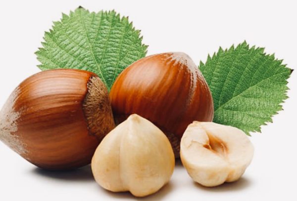 Hazelnut