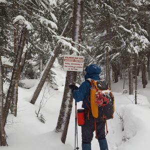 Avalanche Pass  - French Roast - WINTER