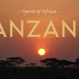 Tanzania Peaberry - LIMITED OFFERING