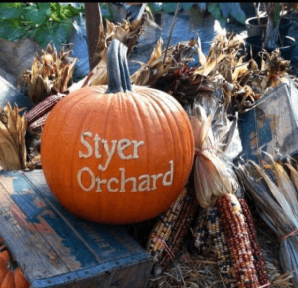 Styers Orchard - House Blend - Image 2